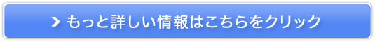 美乳ナイトブラ エクスグラマー販売サイトへ